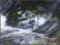 Srdce po vodě pouštím