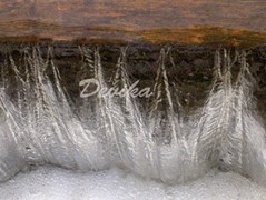 Srdce po vodě pouštím