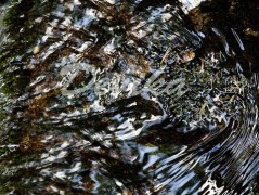 Srdce po vodě pouštím