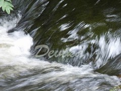 Srdce po vodě pouštím