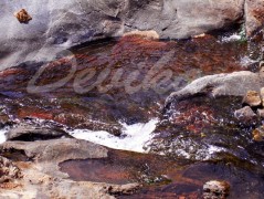 Srdce po vodě pouštím