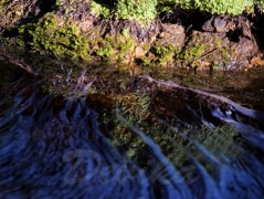 Srdce po vodě pouštím