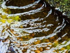 Srdce po vodě pouštím