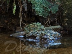 Srdce po vodě pouštím