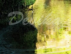 Srdce po vodě pouštím