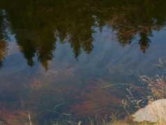 Srdce po vodě pouštím