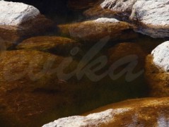 Srdce po vodě pouštím