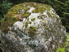 Srdce po vodě pouštím