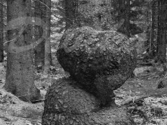 Srdce po vodě pouštím