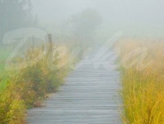 Srdce po vodě pouštím