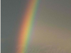 Srdce po vodě pouštím