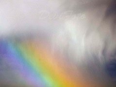 Srdce po vodě pouštím