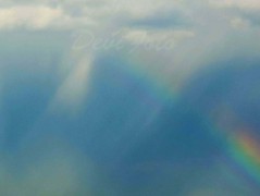 Srdce po vodě pouštím