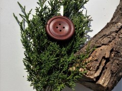 Srdíčko v síti 6.