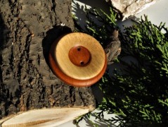 Srdíčko v síti 6.