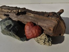 Sleva - Ptačí probuzení