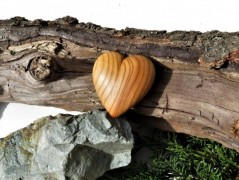 Srdíčko v síti 6.