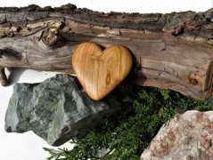 Srdíčko v síti 6.