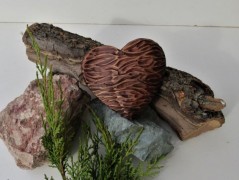 Srdíčko v síti 6.