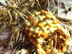 Hedvábná šála V lese.